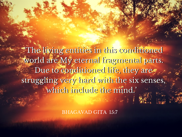 The-living-Entities-600×450 
