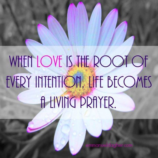 WhenLoveistheRoot-600×600 